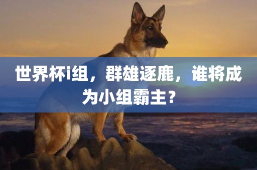 世界杯i组，群雄逐鹿，谁将成为小组霸主？常熟市高丰毛纺织品有限公司