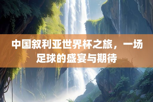 中国叙利亚世界杯之旅，一场足球的盛宴与期常熟市高丰毛纺织品有限公司待