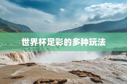 世界杯足彩的多种玩法