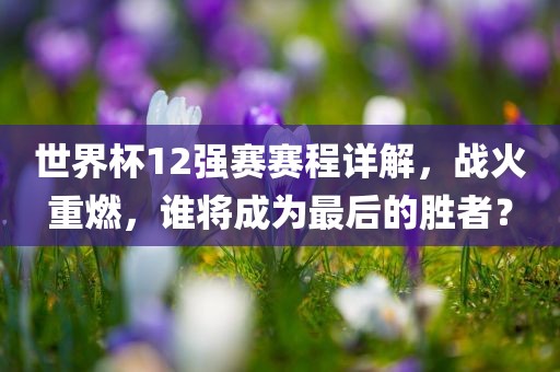 世界杯1常熟市高丰毛纺织品有限公司2强赛赛程详解，战火重燃，谁将成为最后的胜者？