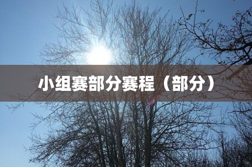 小组赛部分赛程（部分）常熟市高丰毛纺织品有限公司