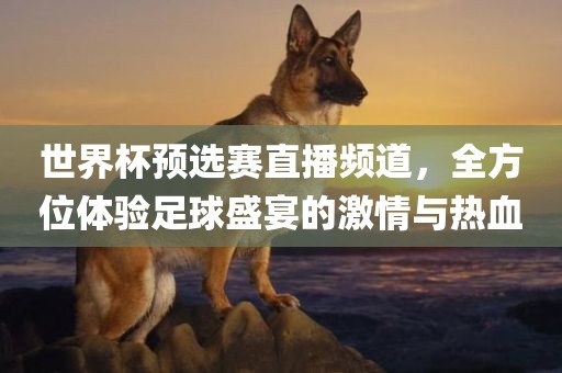 世界杯预选赛直播频道，全方位体验足球盛宴的激情与热血常熟市高丰毛纺织品有限公司