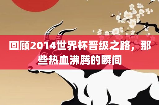 回顾2014世界杯晋级之路，那些热血沸腾的瞬间