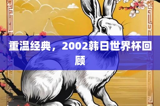 重温经典，2002韩日世界杯回顾常熟市高丰毛纺织品有限公司