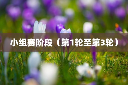 小组赛阶段（第1轮至第3轮）常熟市高丰毛纺织品有限公司