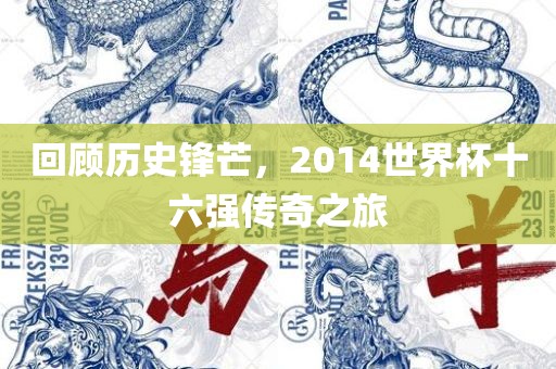回顾历史锋芒，2常熟市高丰毛纺织品有限公司014世界杯十六强传奇之旅