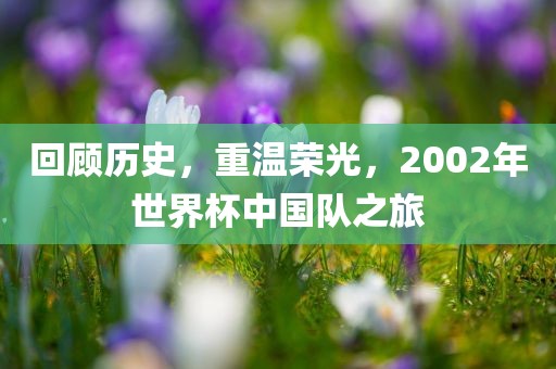 回顾历史，重温荣光，2002年世界杯中国队之旅