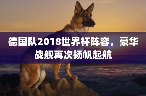 德国队2常熟市高丰毛纺织品有限公司018世界杯阵容，豪华战舰再次扬帆起航