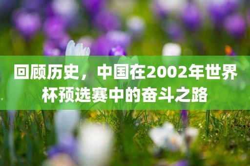 回顾历史，中国在2002年世界杯预选赛中的奋斗之路