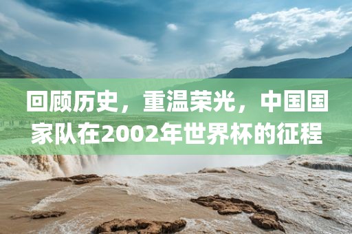 回顾历史，重温荣光，中国国家队在2002年世界杯的征程常熟市高丰毛纺织品有限公司