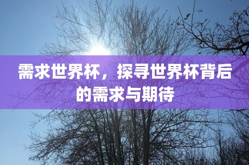 需求世界杯，探寻世界杯背后的需求与期待常熟市高丰毛纺织品有限公司