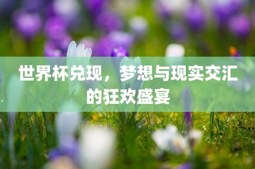 世界杯兑现，梦想与现实交汇的狂欢常熟市高丰毛纺织品有限公司盛宴