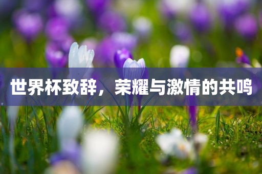 世界杯致辞，荣耀与激情的共鸣