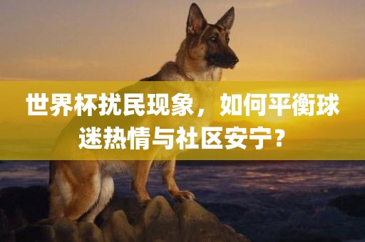 世界杯扰民现象，如何平衡球迷热情与社区安宁？常熟市高丰毛纺织品有限公司