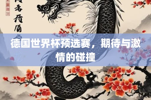 德国世界杯预选赛，期待与激情的碰撞