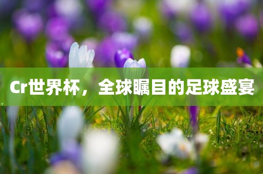 Cr世界杯，全球瞩目的足球盛宴常熟市高丰毛纺织品有限公司