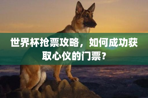 世界杯抢票攻略，如何成功获取心仪的门票？常熟市高丰毛纺织品有限公司