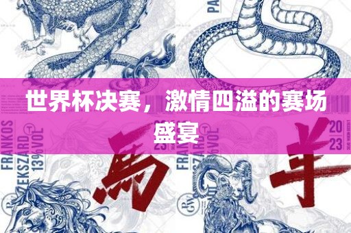 世界杯决赛，激情四溢的赛场盛宴