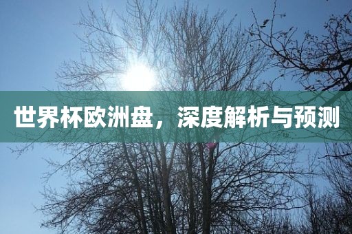 世界杯欧洲盘，深度解析与预测常熟市高丰毛纺织品有限公司