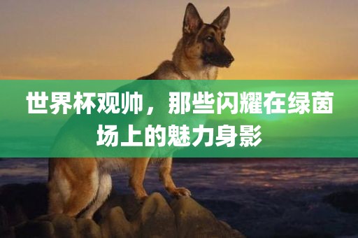 世界杯观帅，那些闪耀在绿茵场上的魅力身影常熟市高丰毛纺织品有限公司