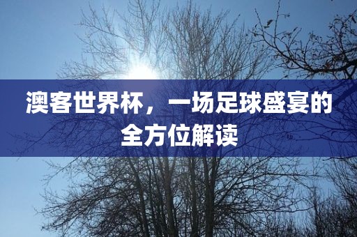 澳客世界杯，一场足球盛宴的全方位解读常熟市高丰毛纺织品有限公司