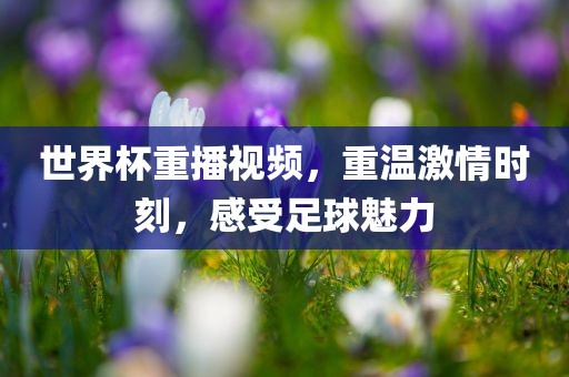 世界杯重播视频，重温激常熟市高丰毛纺织品有限公司情时刻，感受足球魅力