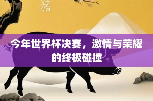 今年世界杯决赛，激情与荣耀的终极碰撞