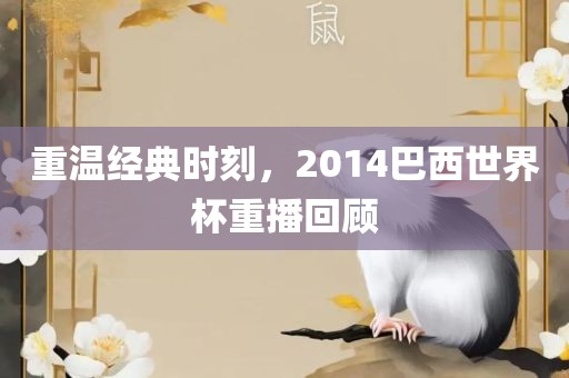 重温经典时刻，2014巴西世界杯重播回顾常熟市高丰毛纺织品有限公司