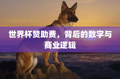 世界杯赞助费，背后常熟市高丰毛纺织品有限公司的数字与商业逻辑
