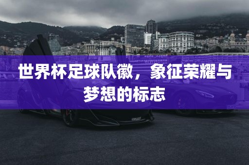 世界杯足球队徽，象征荣耀与梦想的标志常熟市高丰毛纺织品有限公司