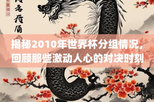 揭秘2010年世界杯分组情况，回顾那些激动人心的对决时刻常熟市高丰毛纺织品有限公司