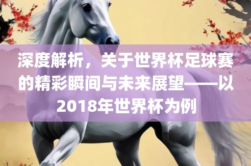 深度解析，关于世界杯足球赛的精彩瞬间与未来展望——以2018年世界杯为例常熟市高丰毛纺织品有限公司