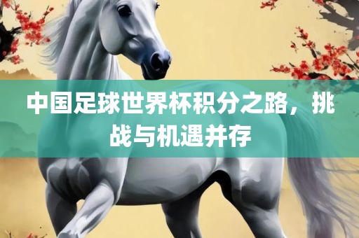 中国足球世界杯积分之路，挑战与机遇并存