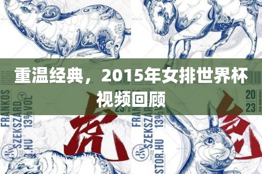 重温经典，2015年女排世界杯视频回顾