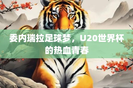 委内瑞拉足球梦，U20世界杯的热血青春