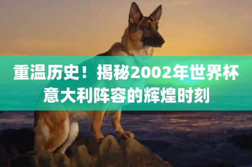 重温历史！揭秘2002年世界杯意大利阵容的辉煌时刻