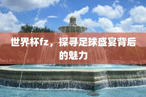 世界杯fz，探寻足球盛宴背后的魅力