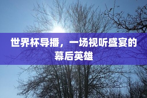 世界杯导播，一场视听盛宴的幕后英雄