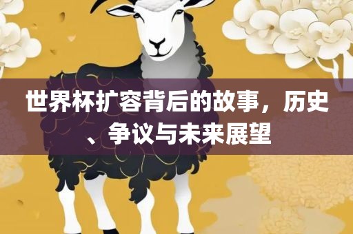世界杯扩容背后的故事，历史、争议与未来展望