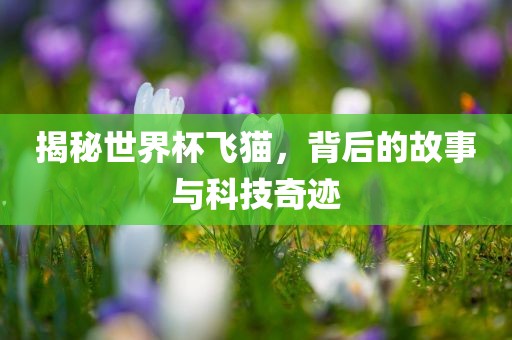 揭秘世界杯飞猫，背后的故事与科技奇迹常熟市高丰毛纺织品有限公司