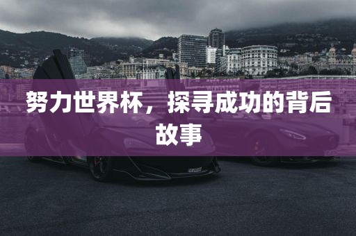 努力世界杯，探寻成功的背后故事常熟市高丰毛纺织品有限公司