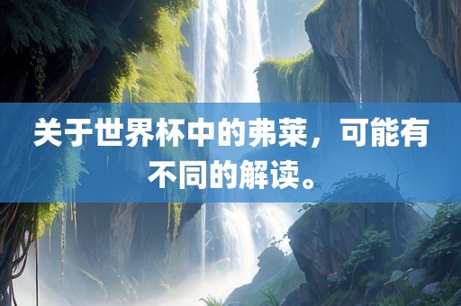 关于世界杯中的弗莱，可能有不同的解读。常熟市高丰毛纺织品有限公司