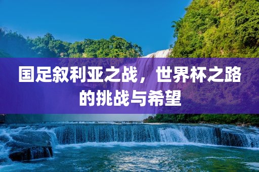 国足叙利亚之战，世界杯之路的挑战与希望常熟市高丰毛纺织品有限公司