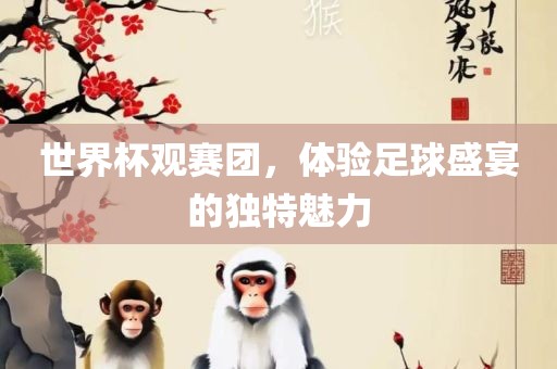 世界杯观赛团，体验足球盛宴的独特魅力