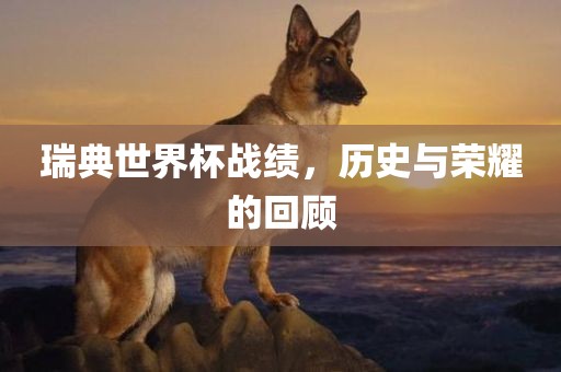 瑞典世界杯战绩，历史与荣耀的常熟市高丰毛纺织品有限公司回顾