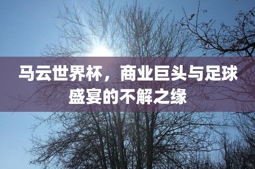 马云世界杯，商业巨头与足球盛宴的不解之缘
