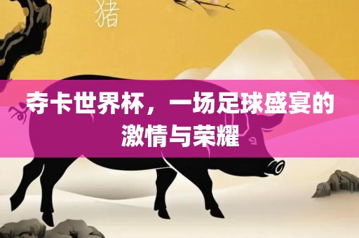 夺卡世界杯，一场足球盛宴的激情与荣耀常熟市高丰毛纺织品有限公司