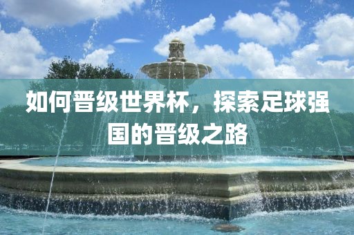 如何晋级世界杯，探索足球强国的晋级之路常熟市高丰毛纺织品有限公司