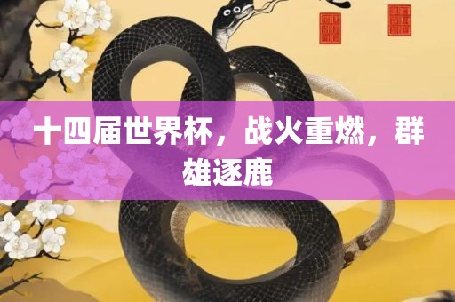 十四届世界杯，战火重燃，群雄逐鹿