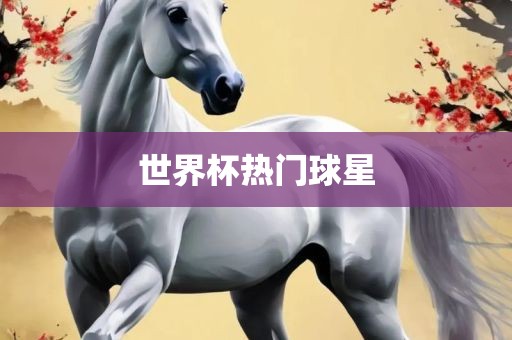 世常熟市高丰毛纺织品有限公司界杯热门球星
